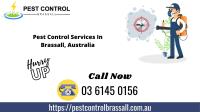 Pest Control Brassall image 1